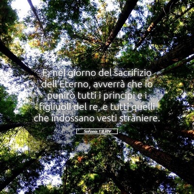 Picture 05 - Sofonia 1:8 RIV - E, nel giorno del sacrifizio dell’Eterno, - Bible Verse Picture