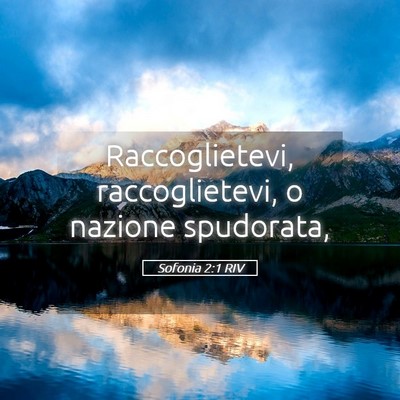Picture 05 - Sofonia 2:1 RIV - Raccoglietevi, raccoglietevi, o nazione - Bible Verse Picture