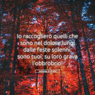 Picture 05 - Sofonia 3:18 RIV - Io raccoglierò quelli che sono nel dolore lungi - Bible Verse Picture
