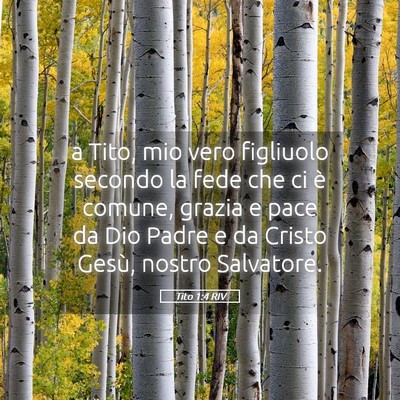 Picture 05 - Tito 1:4 RIV - a Tito, mio vero figliuolo secondo la fede che ci - Bible Verse Picture
