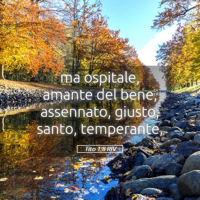 Picture 05 - Tito 1:8 RIV - ma ospitale, amante del bene, assennato, giusto, - Bible Verse Picture