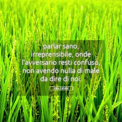 Picture 05 - Tito 2:8 RIV - parlar sano, irreprensibile, onde l’avversario - Bible Verse Picture