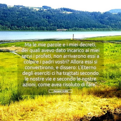 Picture 05 - Zaccaria 1:6 RIV - Ma le mie parole e i miei decreti, dei quali - Bible Verse Picture