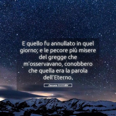 Picture 05 - Zaccaria 11:11 RIV - E quello fu annullato in quel giorno; e le pecore - Bible Verse Picture
