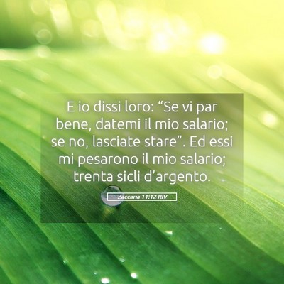 Picture 05 - Zaccaria 11:12 RIV - E io dissi loro: “Se vi par bene, datemi il mio - Bible Verse Picture