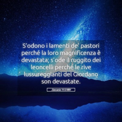 Picture 05 - Zaccaria 11:3 RIV - S’odono i lamenti de’ pastori perché la loro - Bible Verse Picture