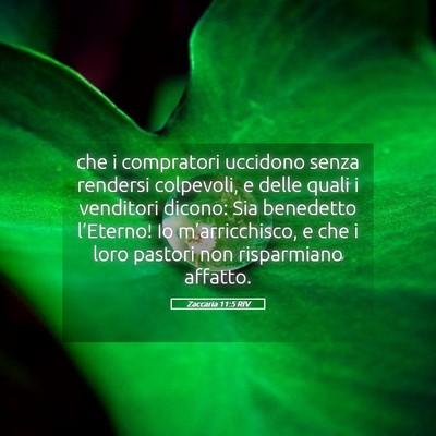 Picture 05 - Zaccaria 11:5 RIV - che i compratori uccidono senza rendersi - Bible Verse Picture
