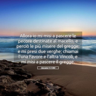 Picture 05 - Zaccaria 11:7 RIV - Allora io mi misi a pascere le pecore destinate - Bible Verse Picture