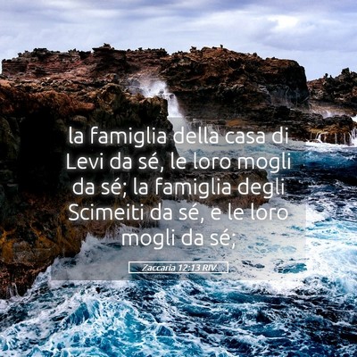 Picture 05 - Zaccaria 12:13 RIV - la famiglia della casa di Levi da sé, le loro - Bible Verse Picture