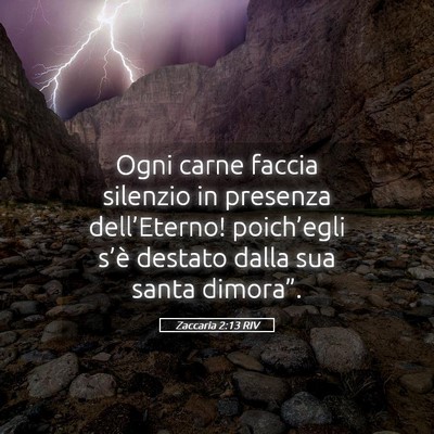 Picture 05 - Zaccaria 2:13 RIV - Ogni carne faccia silenzio in presenza - Bible Verse Picture