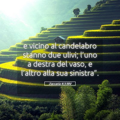 Picture 05 - Zaccaria 4:3 RIV - e vicino al candelabro stanno due ulivi; l’uno - Bible Verse Picture