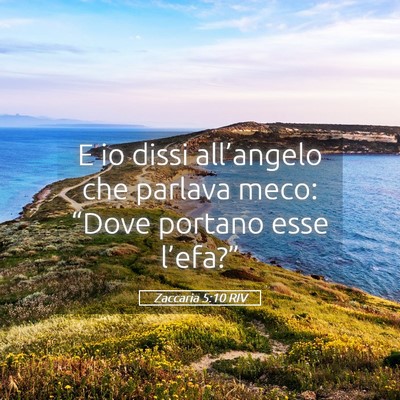 Picture 05 - Zaccaria 5:10 RIV - E io dissi all’angelo che parlava meco: “Dove - Bible Verse Picture