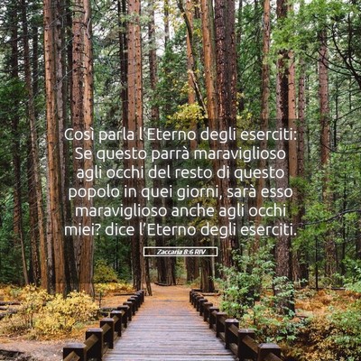 Picture 05 - Zaccaria 8:6 RIV - Così parla l’Eterno degli eserciti: Se questo - Bible Verse Picture