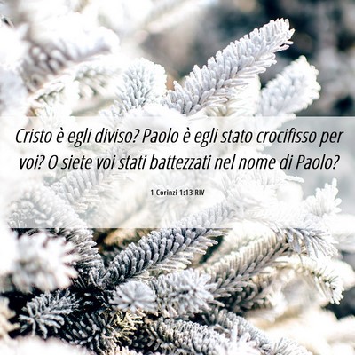 Picture 06 - 1 Corinzi 1:13 RIV - Cristo è egli diviso? Paolo è egli stato - Bible Verse Picture