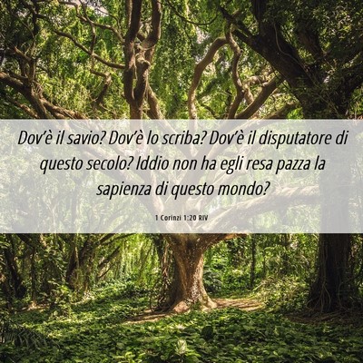 Picture 06 - 1 Corinzi 1:20 RIV - Dov’è il savio? Dov’è lo scriba? Dov’è - Bible Verse Picture