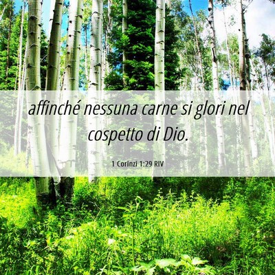 Picture 06 - 1 Corinzi 1:29 RIV - affinché nessuna carne si glori nel cospetto di - Bible Verse Picture