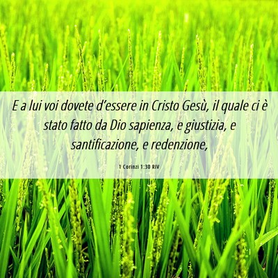 Picture 06 - 1 Corinzi 1:30 RIV - E a lui voi dovete d’essere in Cristo Gesù, il - Bible Verse Picture