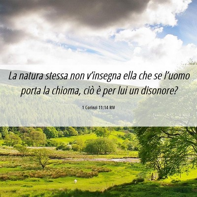 Picture 06 - 1 Corinzi 11:14 RIV - La natura stessa non v’insegna ella che se - Bible Verse Picture