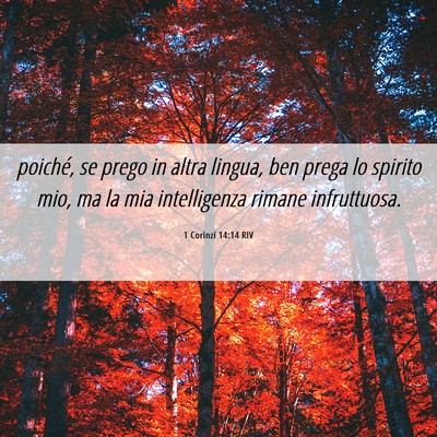 Picture 06 - 1 Corinzi 14:14 RIV - poiché, se prego in altra lingua, ben prega lo - Bible Verse Picture