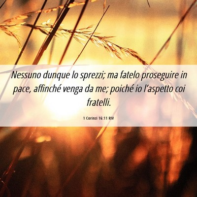 Picture 06 - 1 Corinzi 16:11 RIV - Nessuno dunque lo sprezzi; ma fatelo proseguire - Bible Verse Picture
