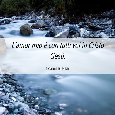 Picture 06 - 1 Corinzi 16:24 RIV - L’amor mio è con tutti voi in Cristo - Bible Verse Picture