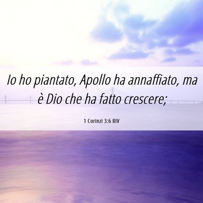 Picture 06 - 1 Corinzi 3:6 RIV - Io ho piantato, Apollo ha annaffiato, ma è Dio - Bible Verse Picture