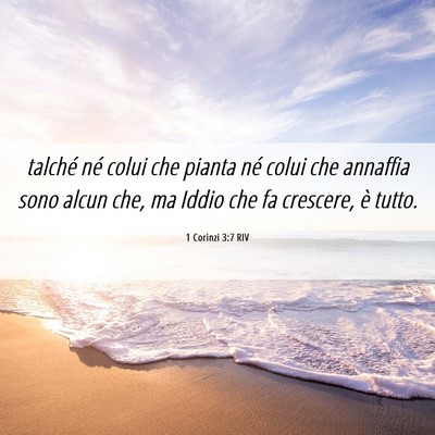 Picture 06 - 1 Corinzi 3:7 RIV - talché né colui che pianta né colui che - Bible Verse Picture