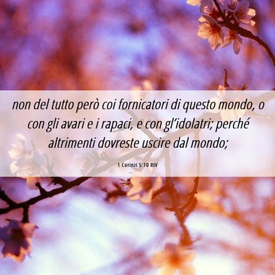 Picture 06 - 1 Corinzi 5:10 RIV - non del tutto però coi fornicatori di questo - Bible Verse Picture