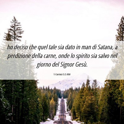 Picture 06 - 1 Corinzi 5:5 RIV - ho deciso che quel tale sia dato in man di - Bible Verse Picture
