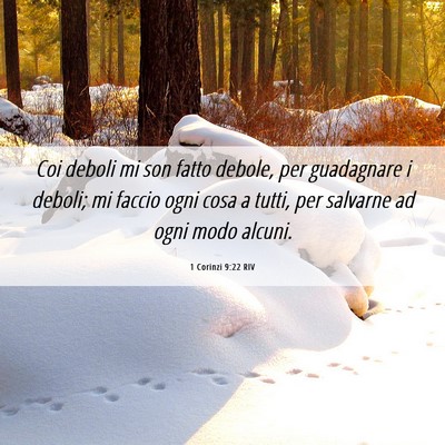 Picture 06 - 1 Corinzi 9:22 RIV - Coi deboli mi son fatto debole, per guadagnare i - Bible Verse Picture