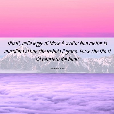 Picture 06 - 1 Corinzi 9:9 RIV - Difatti, nella legge di Mosè è scritto: Non - Bible Verse Picture
