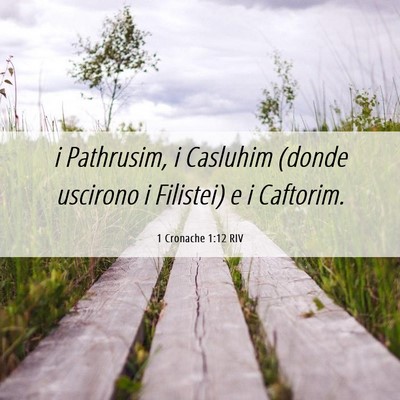 Picture 06 - 1 Cronache 1:12 RIV - i Pathrusim, i Casluhim (donde uscirono i - Bible Verse Picture