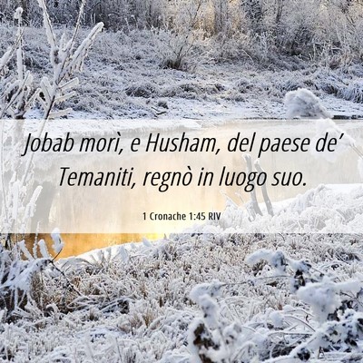 Picture 06 - 1 Cronache 1:45 RIV - Jobab morì, e Husham, del paese de’ Temaniti, - Bible Verse Picture