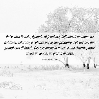 Picture 06 - 1 Cronache 11:22 RIV - Poi veniva Benaia, figliuolo di Jehoiada, - Bible Verse Picture