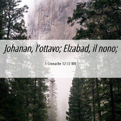 Picture 06 - 1 Cronache 12:12 RIV - Johanan, l’ottavo; Elzabad, il - Bible Verse Picture