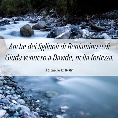 Picture 06 - 1 Cronache 12:16 RIV - Anche dei figliuoli di Beniamino e di Giuda - Bible Verse Picture