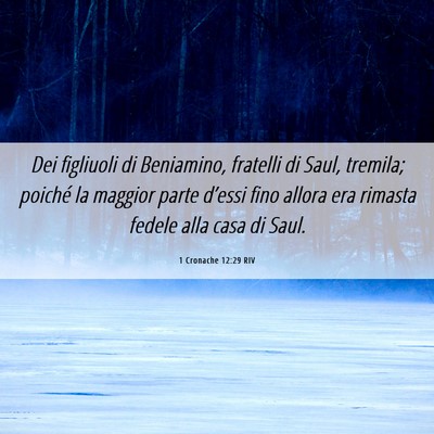Picture 06 - 1 Cronache 12:29 RIV - Dei figliuoli di Beniamino, fratelli di Saul, - Bible Verse Picture