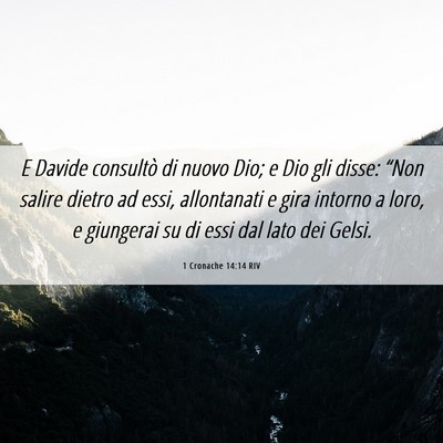 Picture 06 - 1 Cronache 14:14 RIV - E Davide consultò di nuovo Dio; e Dio gli disse: - Bible Verse Picture