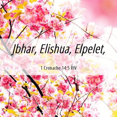 Picture 06 - 1 Cronache 14:5 RIV - Jbhar, Elishua, - Bible Verse Picture