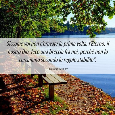 Picture 06 - 1 Cronache 15:13 RIV - Siccome voi non c’eravate la prima volta, - Bible Verse Picture