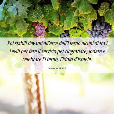 Picture 06 - 1 Cronache 16:4 RIV - Poi stabilì davanti all’arca dell’Eterno - Bible Verse Picture