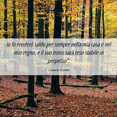 Picture 06 - 1 Cronache 17:14 RIV - Io lo renderò saldo per sempre nella mia casa e - Bible Verse Picture