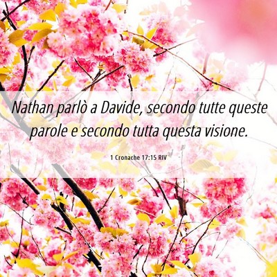 Picture 06 - 1 Cronache 17:15 RIV - Nathan parlò a Davide, secondo tutte queste - Bible Verse Picture