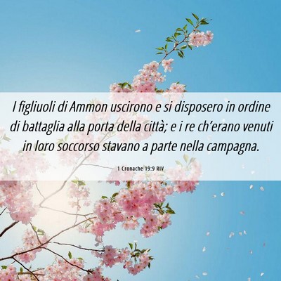 Picture 06 - 1 Cronache 19:9 RIV - I figliuoli di Ammon uscirono e si disposero in - Bible Verse Picture