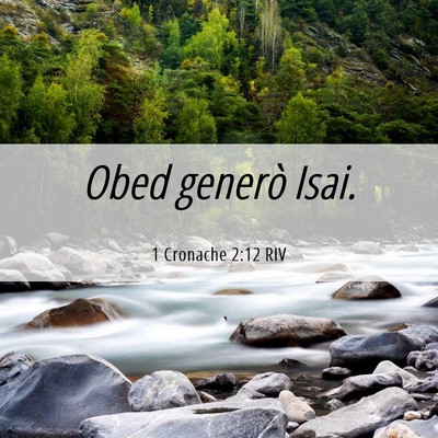 Picture 06 - 1 Cronache 2:12 RIV - Obed generò - Bible Verse Picture