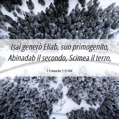 Picture 06 - 1 Cronache 2:13 RIV - Isai generò Eliab, suo primogenito, Abinadab il - Bible Verse Picture
