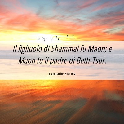 Picture 06 - 1 Cronache 2:45 RIV - Il figliuolo di Shammai fu Maon; e Maon fu il - Bible Verse Picture
