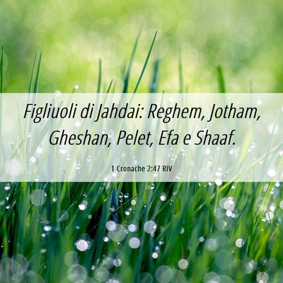 Picture 06 - 1 Cronache 2:47 RIV - Figliuoli di Jahdai: Reghem, Jotham, Gheshan, - Bible Verse Picture