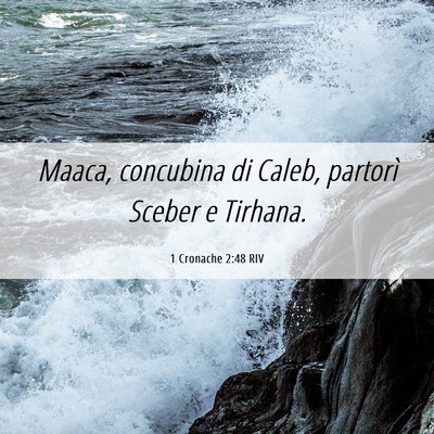 Picture 06 - 1 Cronache 2:48 RIV - Maaca, concubina di Caleb, partorì Sceber e - Bible Verse Picture