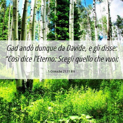 Picture 06 - 1 Cronache 21:11 RIV - Gad andò dunque da Davide, e gli disse: “Così - Bible Verse Picture